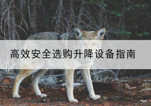 龙井升降货梯厂家推荐-*安全选购升降设备指南