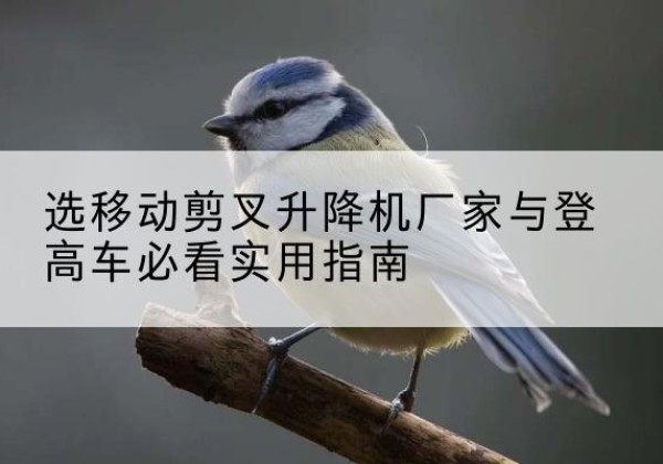 龙井电动升降机厂家-选移动剪叉升降机厂家与登高车必看实用指南